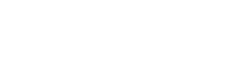 VladiCamp logo